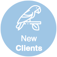 2-clients